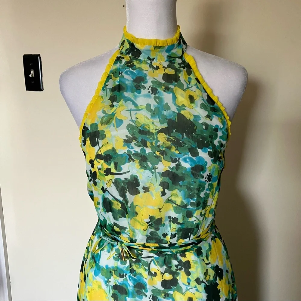 House of Harlow 1960 x Revolve Novia Maxi Dress in Kelly Green Floral size XS - Picture 6 of 13